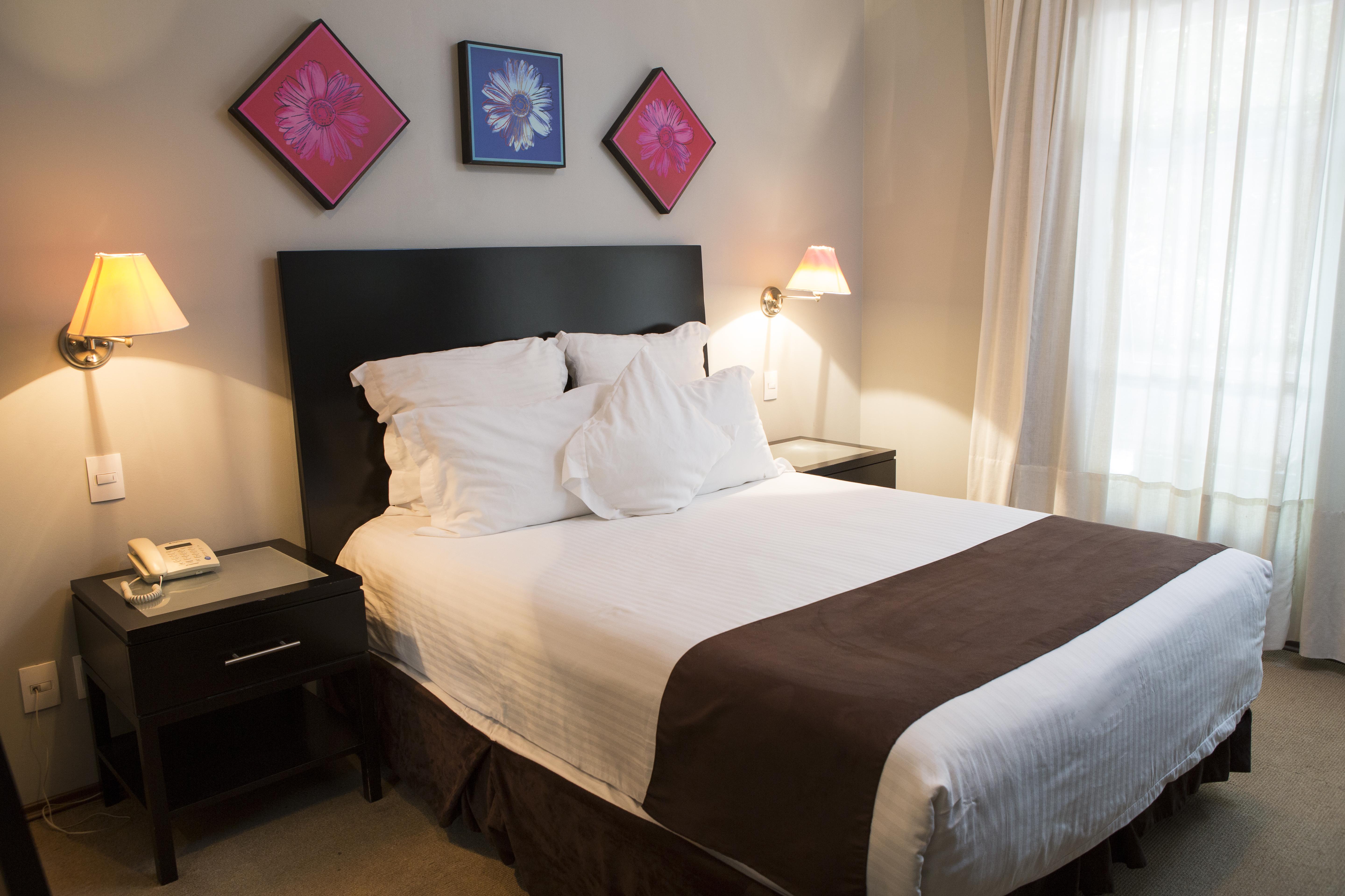 Suites Giorgio Mexico City Exteriör bild